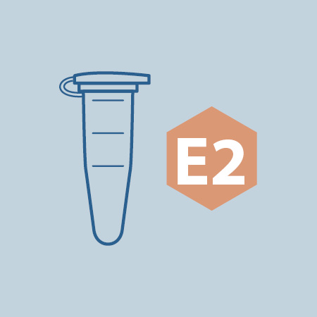 Estradiol (E2) Speicheltest